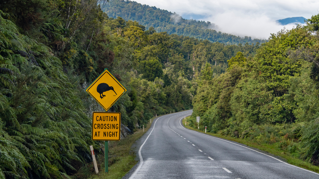 Waitangi weekend sale!